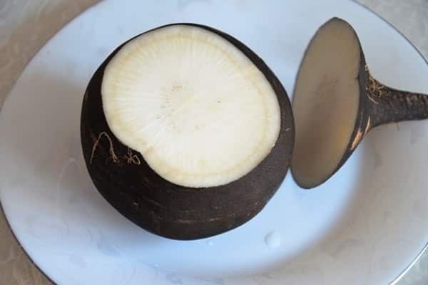 black radish