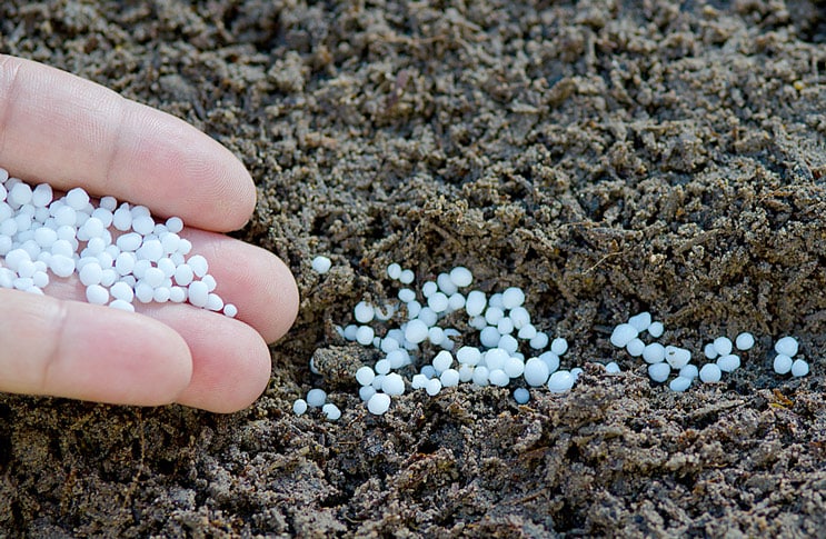 fertilización en el suelo