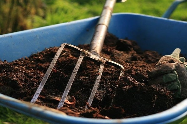 inaccesible para las plantas