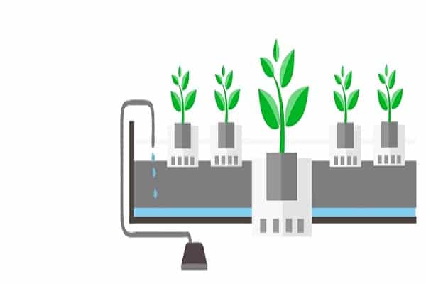 features of hydroponics