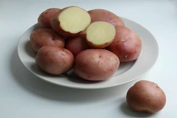 pomme de terre Romano