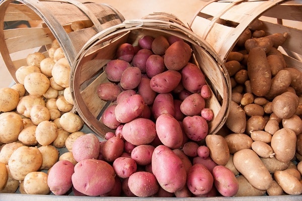 necesita tecnología agrícola