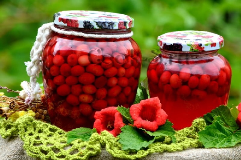 confiture de cornouiller fermée