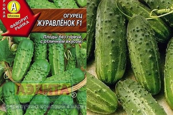 cucumber seeds Crane f1