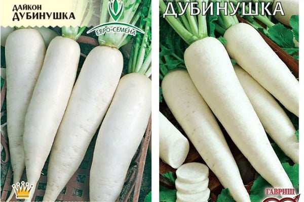 Daikon sjeme Dubinushka