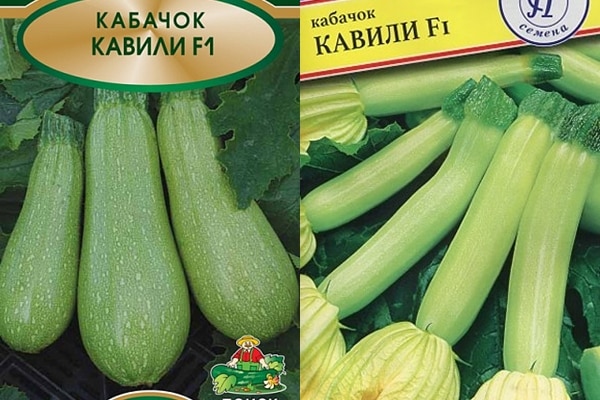 kavili zucchini seeds