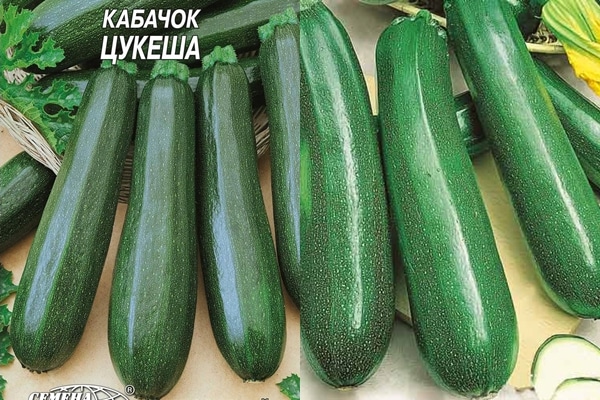 zucchini seeds