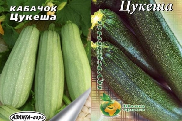 biji zucchini