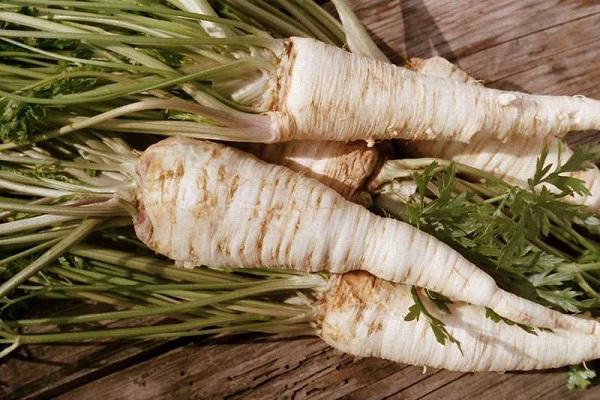 vegetación de primera clase