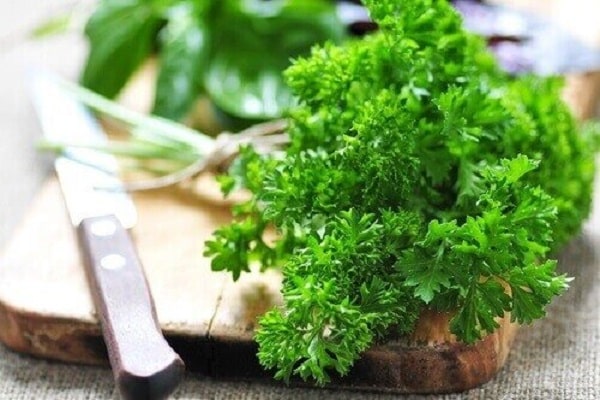 leaf parsley