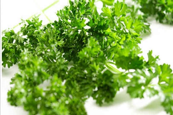 parsley for weight loss