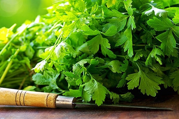 infusion of parsley