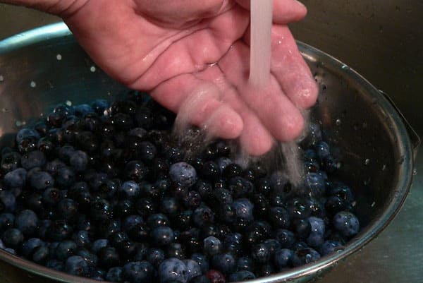 blueberry jam