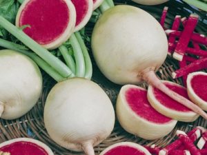 Description of watermelon radish, useful properties and harm