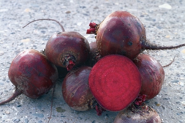 ripening comes