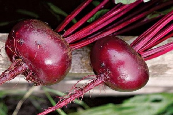 ripening of fruits