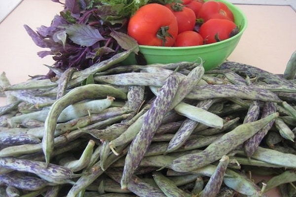 haricots verts