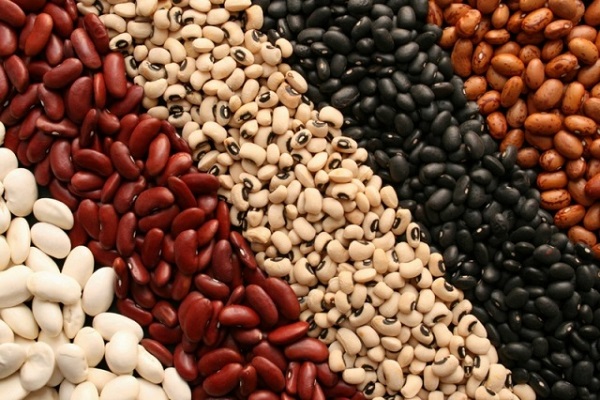 varieties of beans