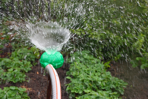 proceso de riego del jardín