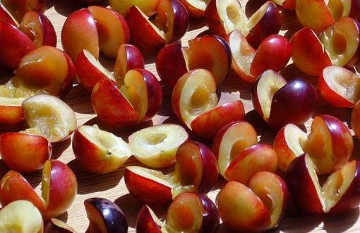 pitted cherry plum