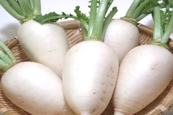 radish in a basket