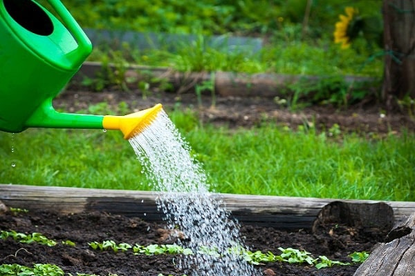 harvesting feeding