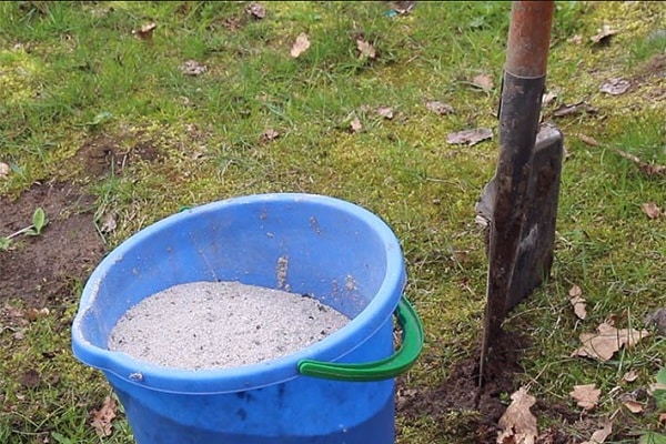 tu ne peux pas fertiliser