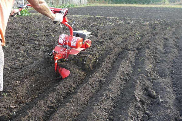 en utilisant un cultivateur