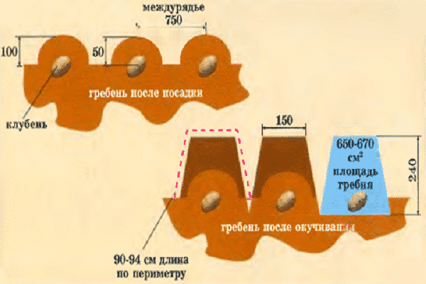 a specific algorithm