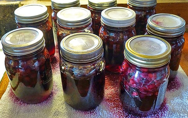 jam in a jar