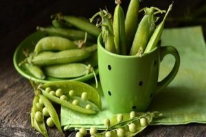 Useful properties and harm of green peas for the health of the body