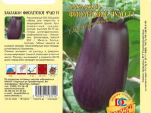 Description of the variety of eggplant Purple miracle, features of cultivation and care