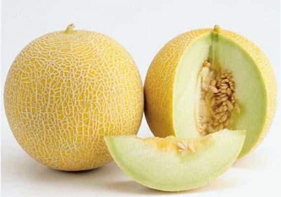 ripe melon