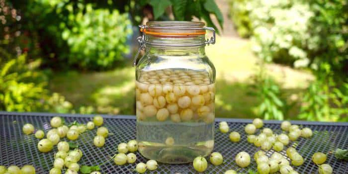 gooseberry compote