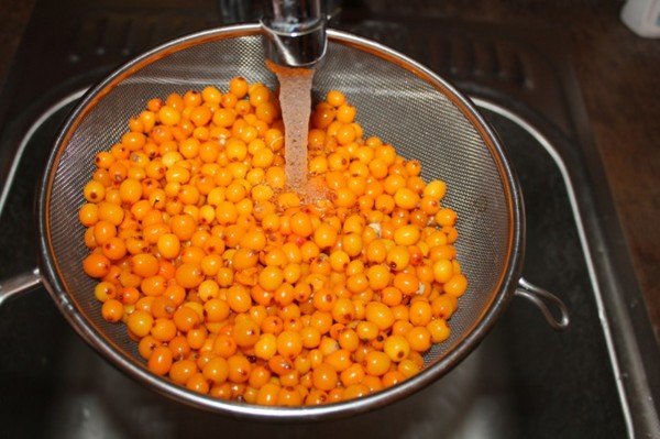 water and sea buckthorn