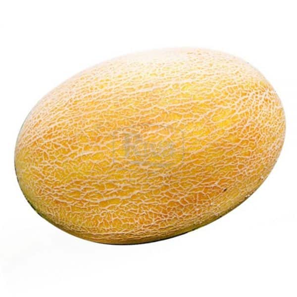 melón karamel