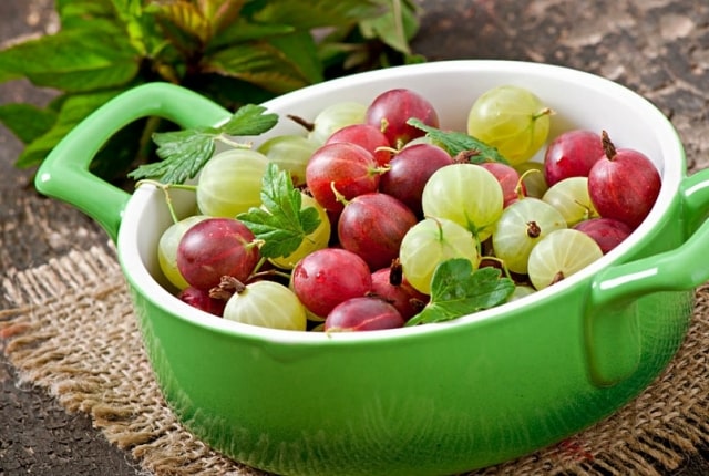 different gooseberries