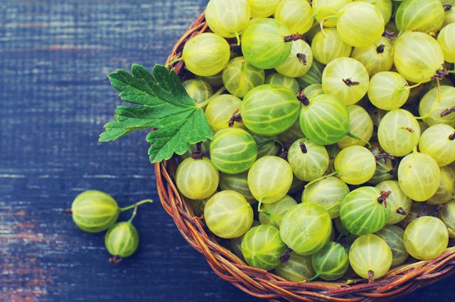 gooseberries in a basket