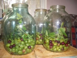 Simple and original recipes for making red and black currant compote with gooseberries for the winter