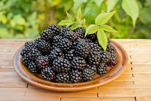 blackberries in a plate