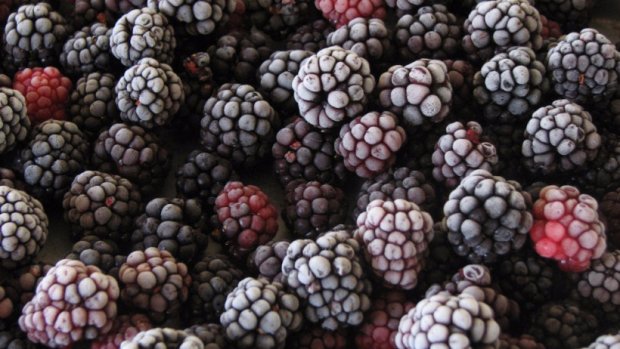 moras congeladas