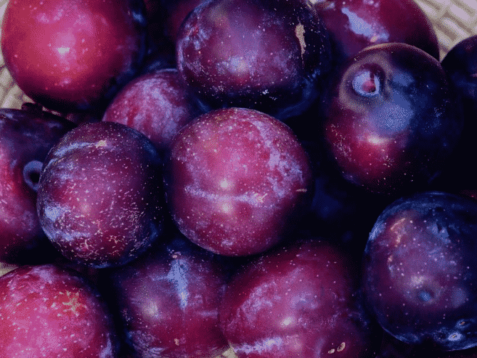 plums (pitted and skinless)