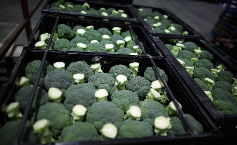 broccoli in boxes