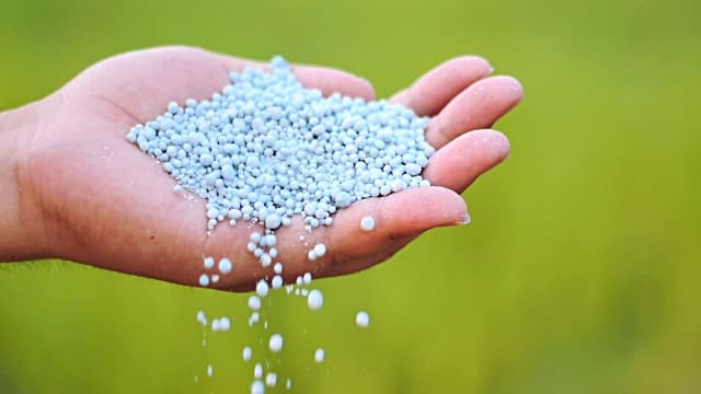 urea in hand