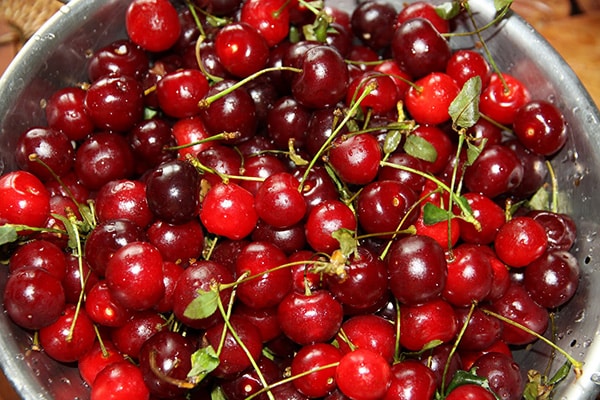 cerezas en un tazón