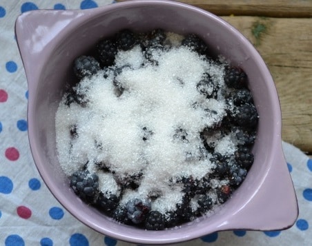 sugar and blackberries