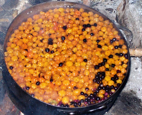 Cloudberry compote