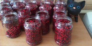 สูตรสำหรับทำ lingonberries แช่สำหรับฤดูหนาวที่บ้าน