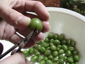 Cómo congelar adecuadamente las grosellas para el invierno en el refrigerador de casa y si es posible