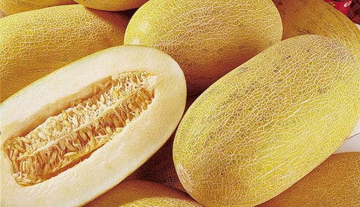 melón de miel